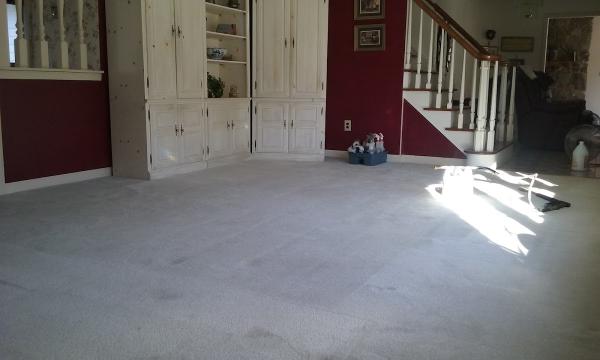 Glory Carpet Cleaning