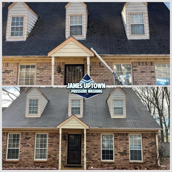 James Uptown Pressure Washing and Roof Cleaning