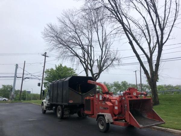 Integrity Tree Care