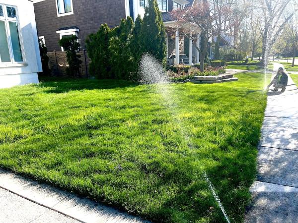 Elite Sprinkler Systems
