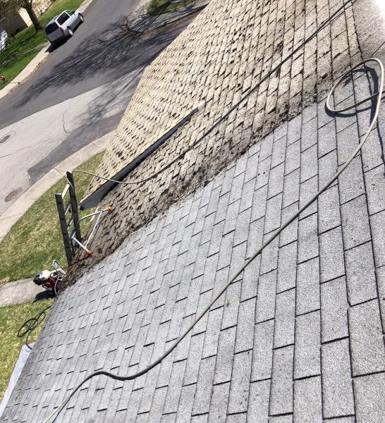 Roof Savers Roof Cleaning