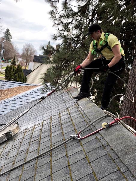 Roof Savers Roof Cleaning