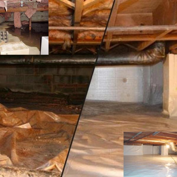 Slate Belt Mold Tech