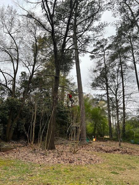 Ascend Tree Care LLC