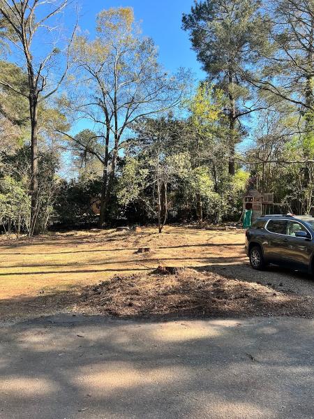 Ascend Tree Care LLC