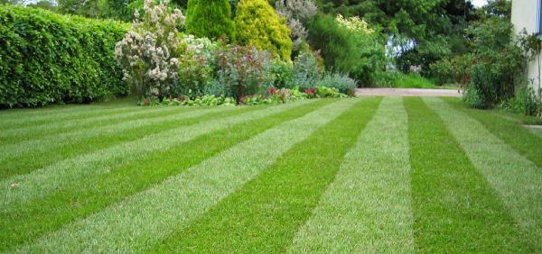Simlawn LLC