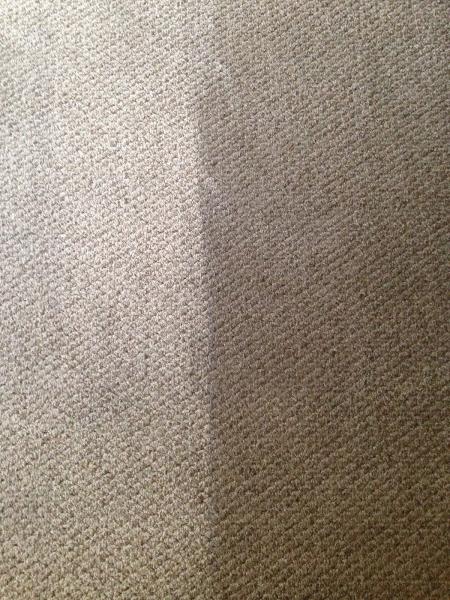 Bluegreen Carpet and Tile Cleaning