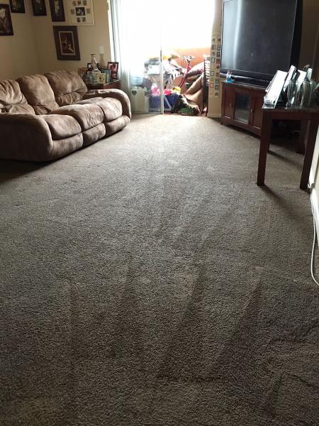 Carpet Cleaning Deluxe
