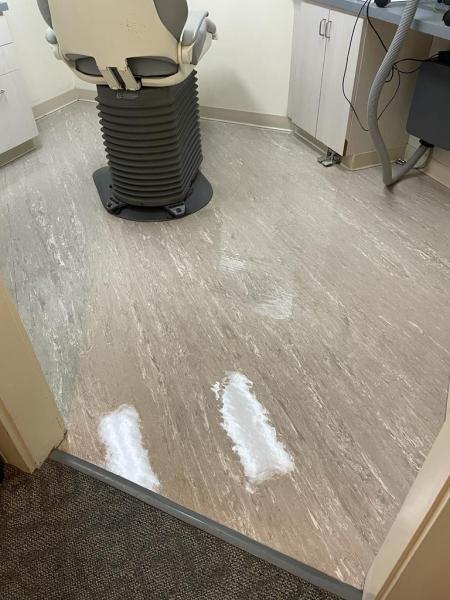 Professional Team Cleaning Services