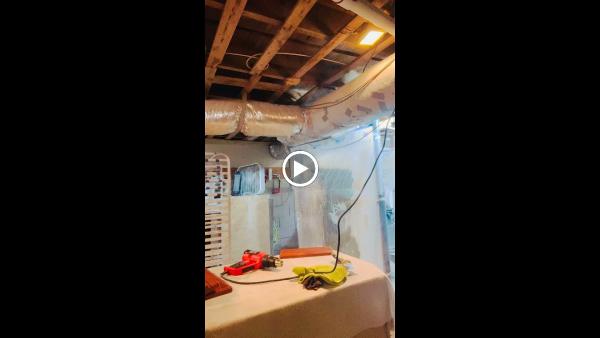 Icarus Pro Painters LLC