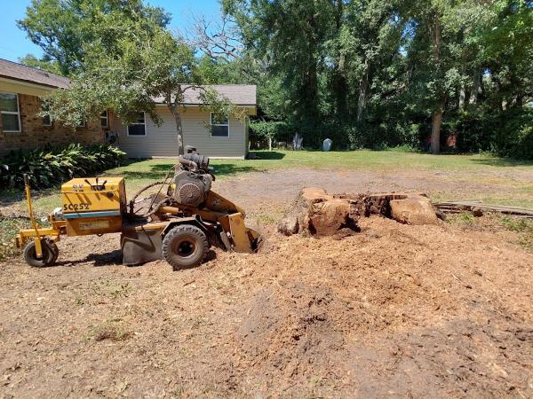Max Granger Stump Grinding