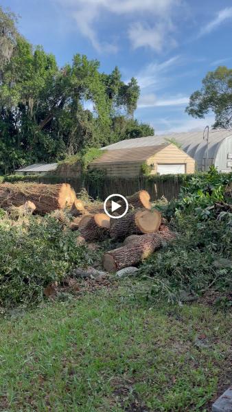 Salva's Tree Cutting Service