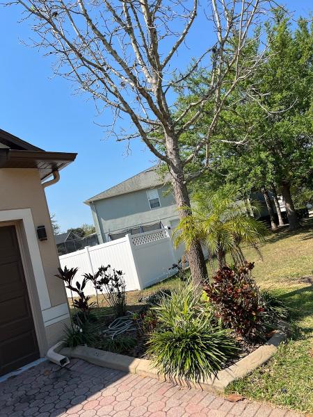 Salva's Tree Cutting Service