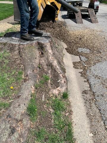 Quality Stump Grinding & Landscape Services