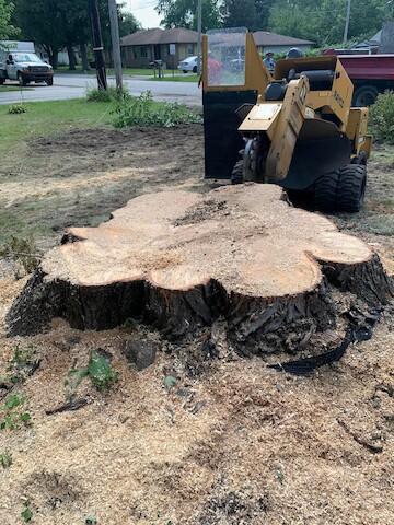 Quality Stump Grinding & Landscape Services