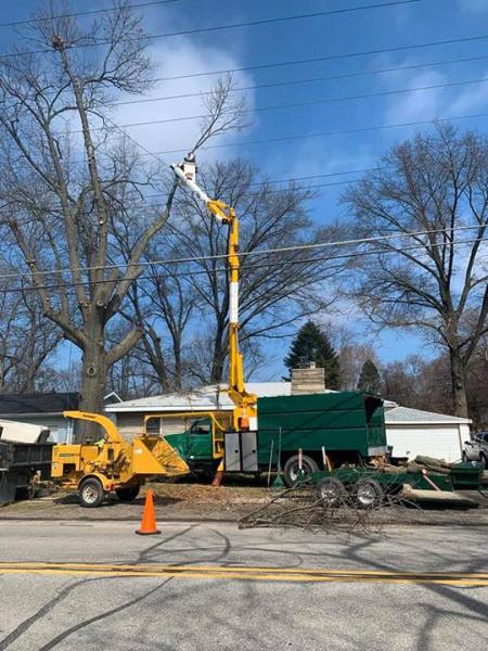 Quality Stump Grinding & Landscape Services