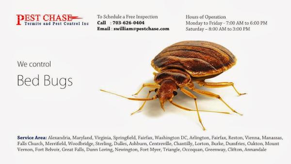 Pest Chase Termite and Pest Control Inc.