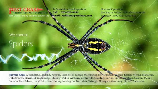 Pest Chase Termite and Pest Control Inc.