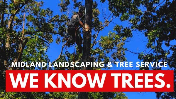 Midland Landscaping & Tree Service
