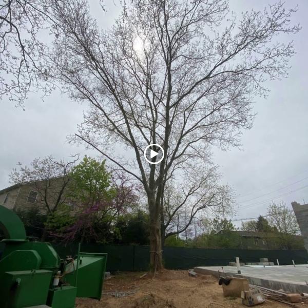 Midland Landscaping & Tree Service