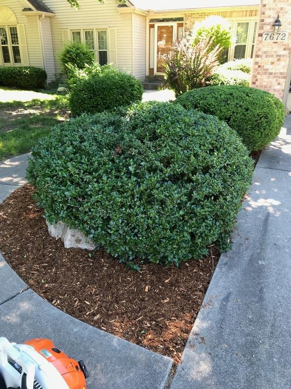 Jepson Landscaping
