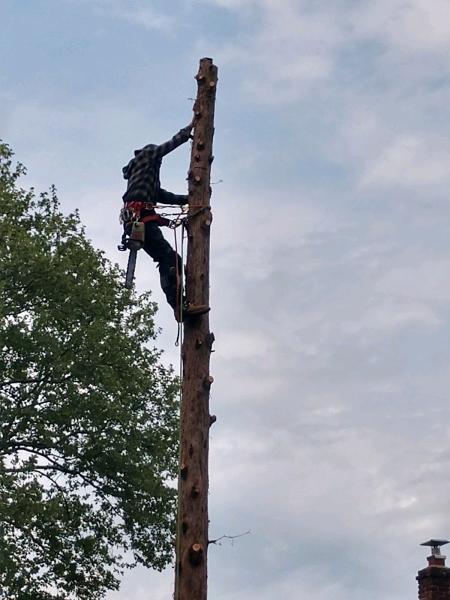 Jake's Tree Service