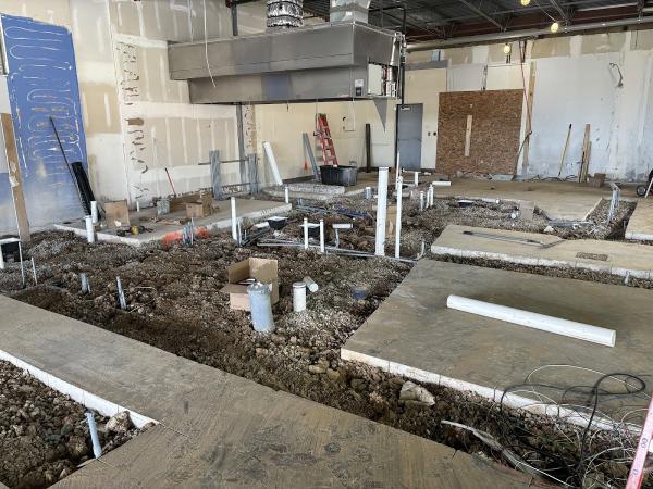 Plumbing Systems
