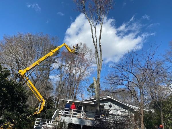 Ed Brooks Tree Service