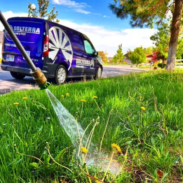 Solterra Lawn & Pest