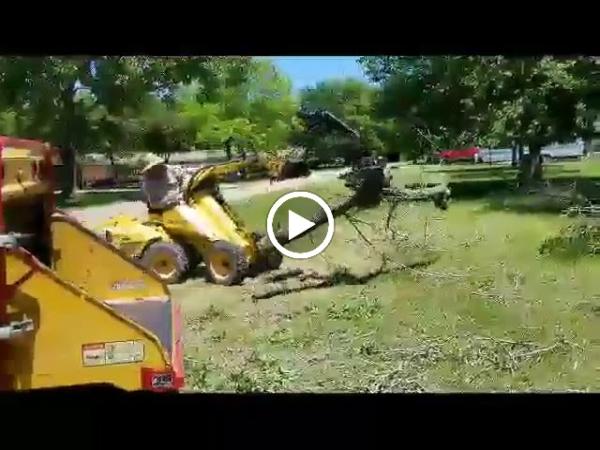 Yosef Tree Service & Landscape