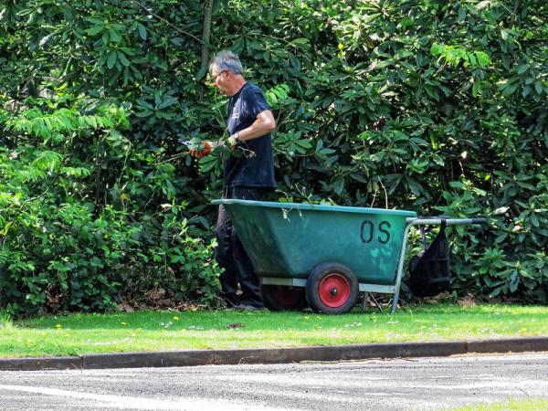 Stockton Tree Services