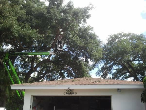 Affordable Tree Service