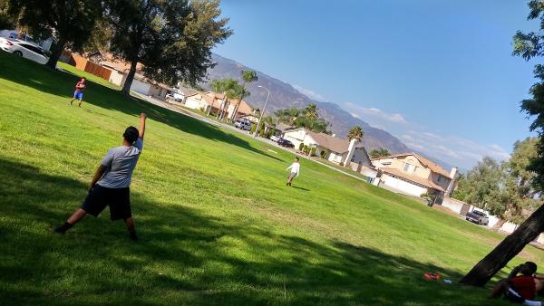Ciscos Landscaping & Tree Services