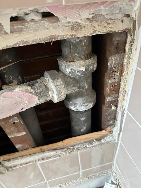 Drain Sharks