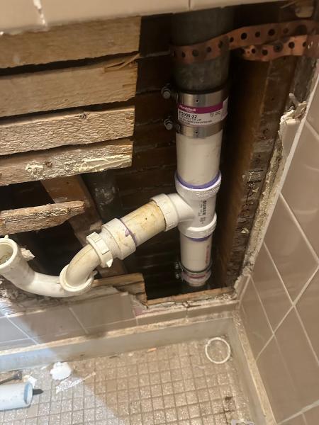 Drain Sharks