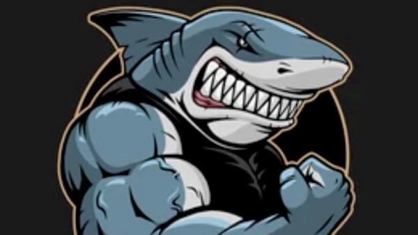 Drain Sharks