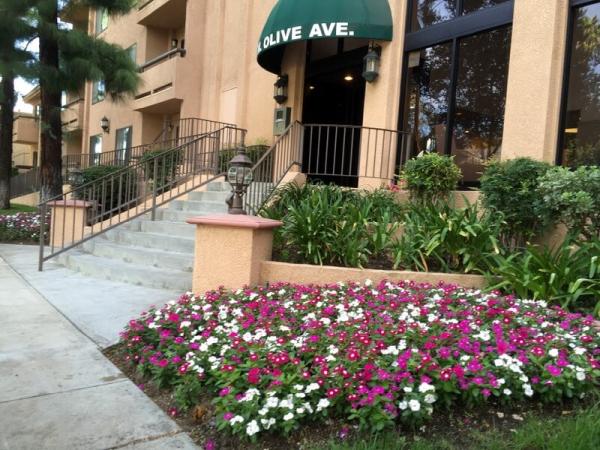 Groundcare Landscape