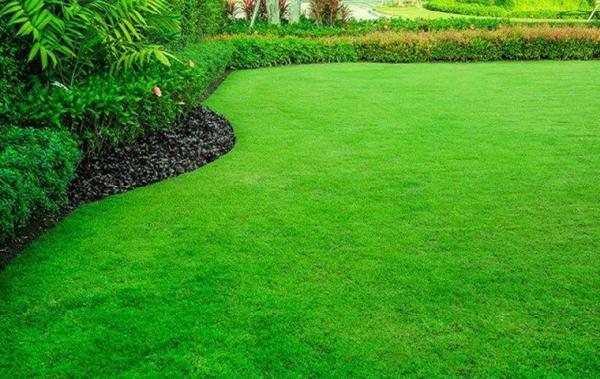 Oak Grove Landscaping