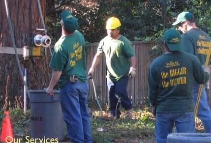 M & M Tree Service