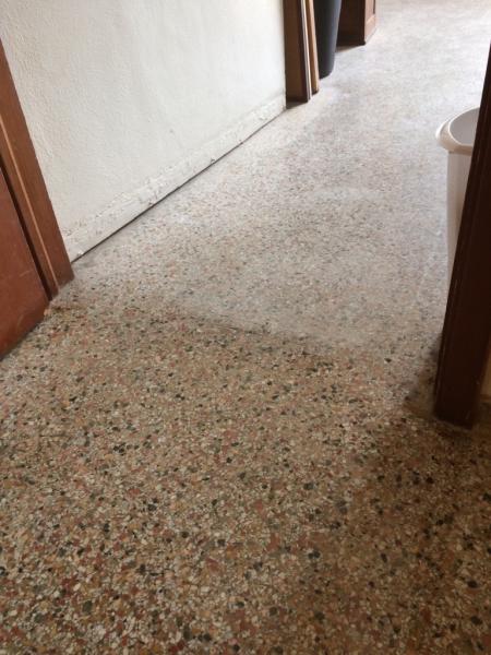 Custom Carpet Cleaning Service