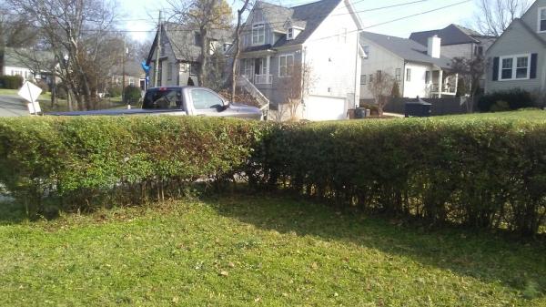 Mower Lawn & Landscape