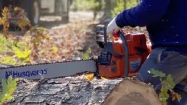 S Green Tree Services
