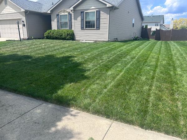 Red Dog Mowing & Landscaping