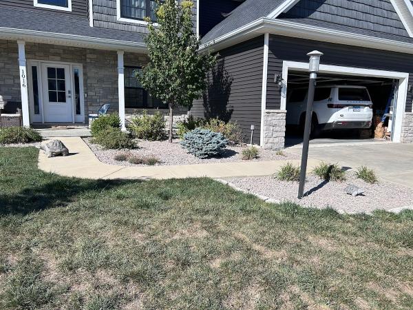 Red Dog Mowing & Landscaping