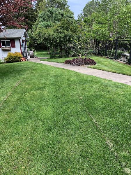 Green Machine Lawn Care