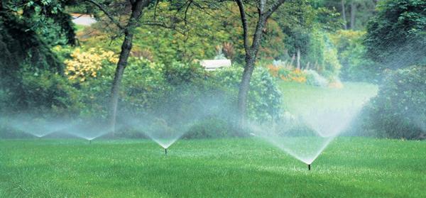 EGS Irrigation & Greenwise