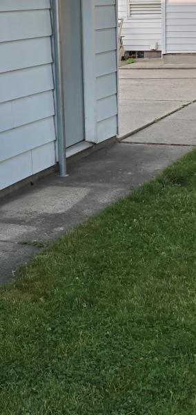 All City Mudjacking