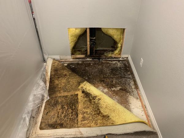 Summit Mitigation Restoration