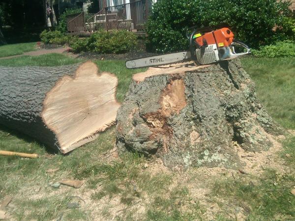 Arborstone