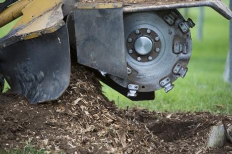 Stump N' Grind
